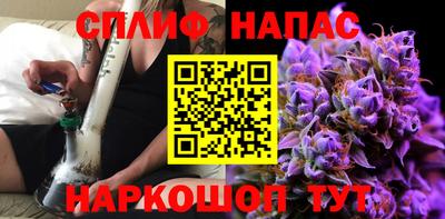 СК Шахты
