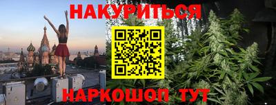 СК Шахты