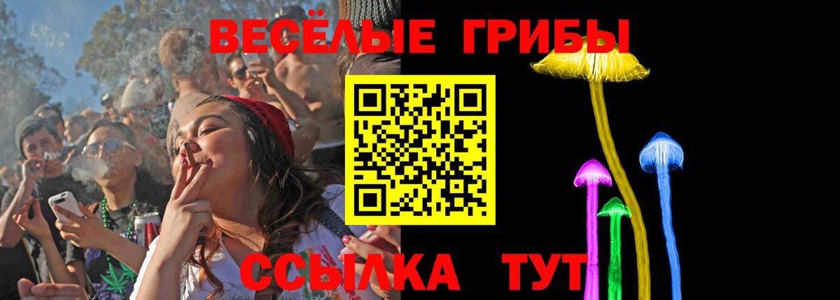 Псилоцибиновые грибы GOLDEN TEACHER  наркотики  Алушта  Вход с VPN 